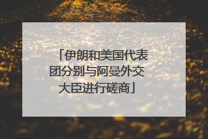伊朗和美国代表团分别与阿曼外交大臣进行磋商