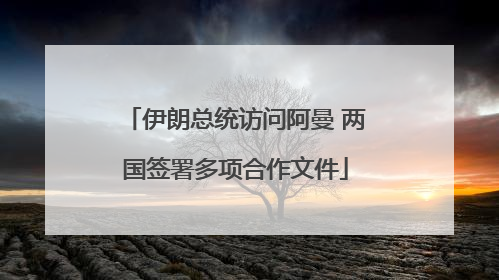伊朗总统访问阿曼 两国签署多项合作文件