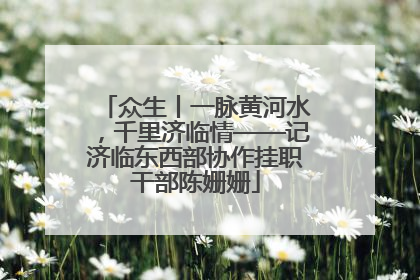 众生丨一脉黄河水，千里济临情——记济临东西部协作挂职干部陈姗姗