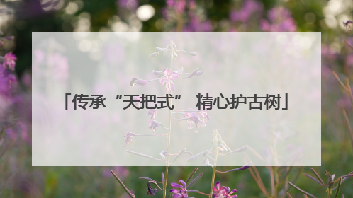 传承“天把式” 精心护古树