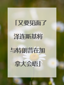 又要见面了 泽连斯基将与特朗普在加拿大会晤