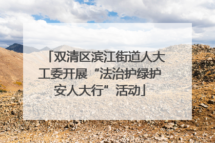 双清区滨江街道人大工委开展“法治护绿护安人大行”活动