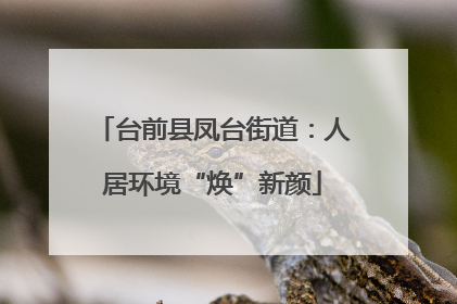 台前县凤台街道：人居环境“焕”新颜
