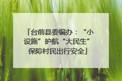 台前县委编办：“小设施”护航“大民生” 保障村民出行安全