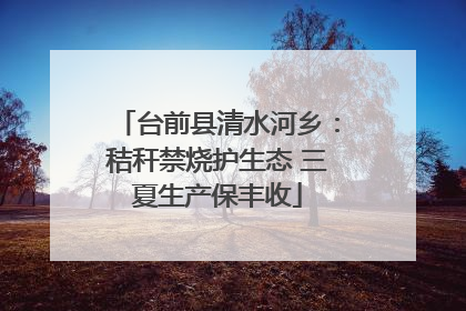 台前县清水河乡：秸秆禁烧护生态 三夏生产保丰收