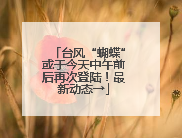 台风“蝴蝶”或于今天中午前后再次登陆！最新动态→