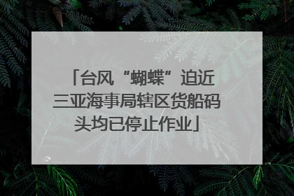 台风“蝴蝶”迫近 三亚海事局辖区货船码头均已停止作业