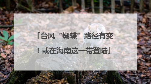 台风“蝴蝶”路径有变！或在海南这一带登陆