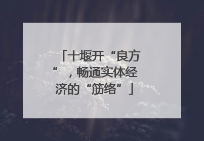 十堰开“良方”，畅通实体经济的“筋络”