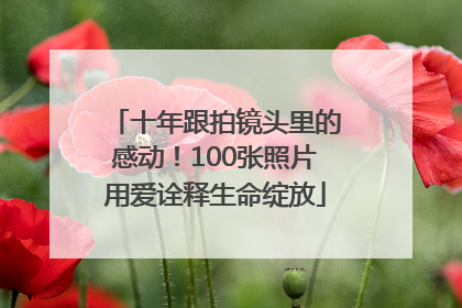 十年跟拍镜头里的感动！100张照片用爱诠释生命绽放