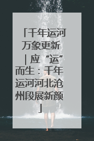 千年运河 万象更新｜应“运”而生：千年运河河北沧州段展新颜