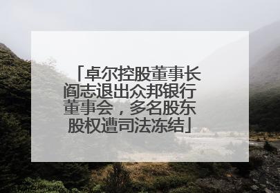 卓尔控股董事长阎志退出众邦银行董事会，多名股东股权遭司法冻结