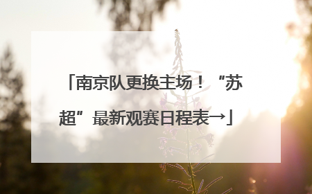 南京队更换主场！“苏超”最新观赛日程表→