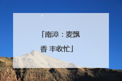 南漳：麦飘香 丰收忙