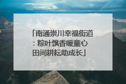 南通崇川幸福街道：粽叶飘香暖童心 田间耕耘助成长