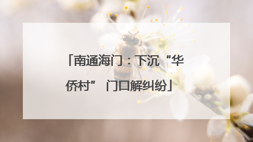 南通海门：下沉“华侨村” 门口解纠纷