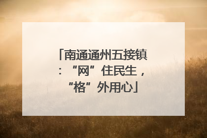 南通通州五接镇：“网”住民生，“格”外用心