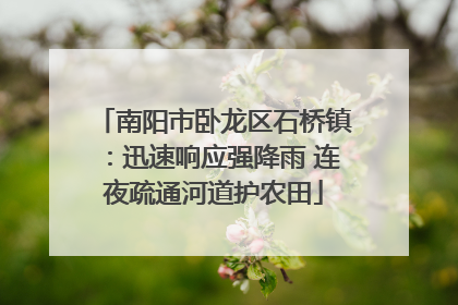 南阳市卧龙区石桥镇：迅速响应强降雨 连夜疏通河道护农田