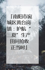 南阳市宛城区黄台岗镇：护航“三夏”生产 田间抢收正当时