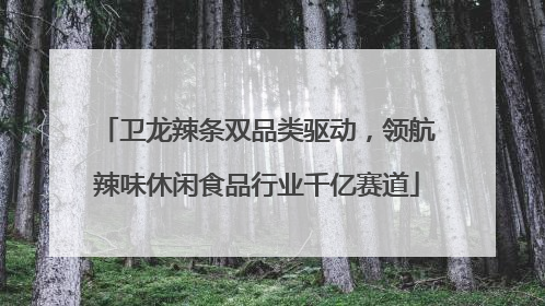 卫龙辣条双品类驱动，领航辣味休闲食品行业千亿赛道