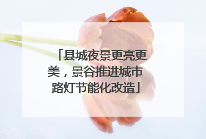 县城夜景更亮更美，景谷推进城市路灯节能化改造