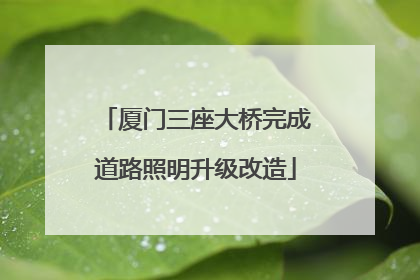 厦门三座大桥完成道路照明升级改造