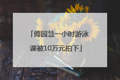傅园慧一小时游泳课被10万元拍下