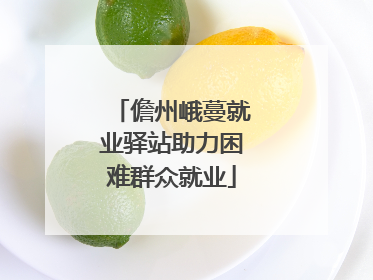 儋州峨蔓就业驿站助力困难群众就业