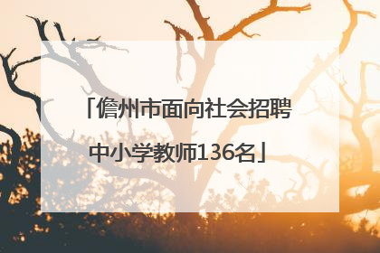 儋州市面向社会招聘中小学教师136名