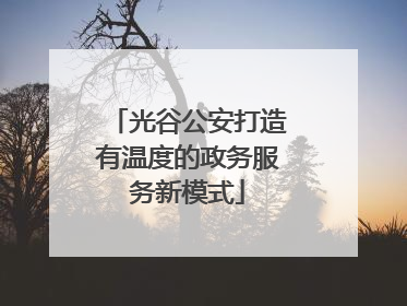 光谷公安打造有温度的政务服务新模式
