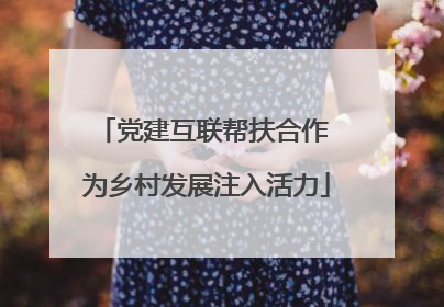 党建互联帮扶合作 为乡村发展注入活力