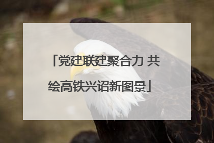 党建联建聚合力 共绘高铁兴诏新图景