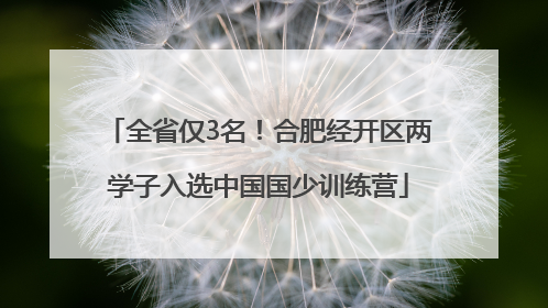 全省仅3名！合肥经开区两学子入选中国国少训练营