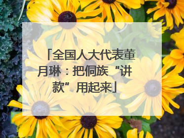 全国人大代表董月琳：把侗族“讲款”用起来