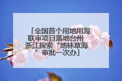 全国首个用地用海联审项目落地台州 浙江探索“地林草海”审批一次办