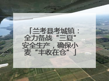 兰考县考城镇：全力备战“三夏”安全生产，确保小麦“丰收在仓”