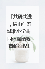 共研共进，眉山仁寿城北小学共同体赋能教育新征程