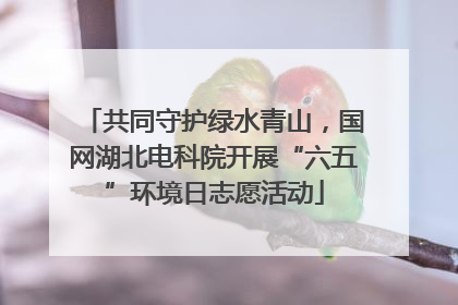 共同守护绿水青山，国网湖北电科院开展“六五”环境日志愿活动