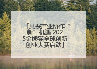 共探产业协作“新”机遇 2025金熊猫全球创新创业大赛启动
