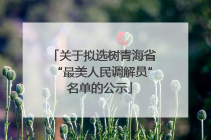 关于拟选树青海省“最美人民调解员” 名单的公示