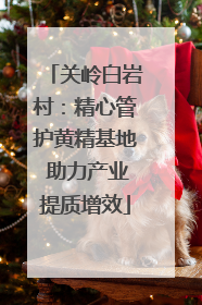 关岭白岩村：精心管护黄精基地 助力产业提质增效