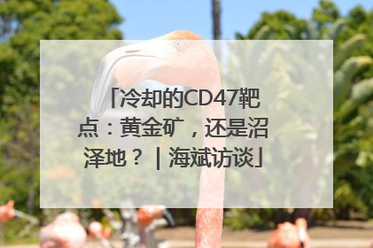冷却的CD47靶点：黄金矿，还是沼泽地？｜海斌访谈