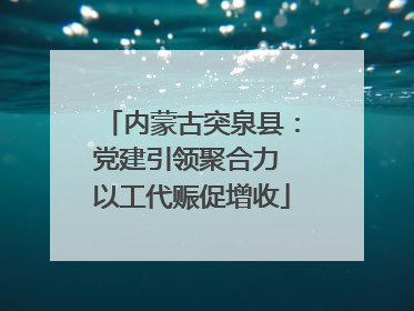 内蒙古突泉县：党建引领聚合力 以工代赈促增收