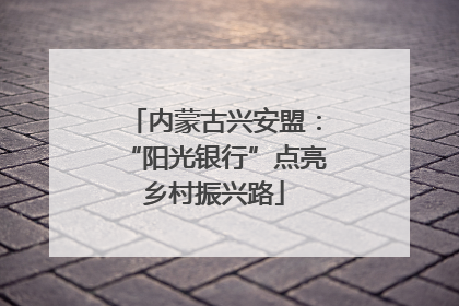 内蒙古兴安盟：“阳光银行”点亮乡村振兴路