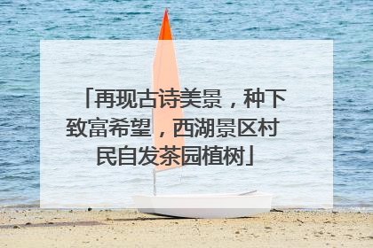 再现古诗美景，种下致富希望，西湖景区村民自发茶园植树