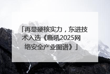 再显硬核实力，东进技术入选《嘶吼2025网络安全产业图谱》