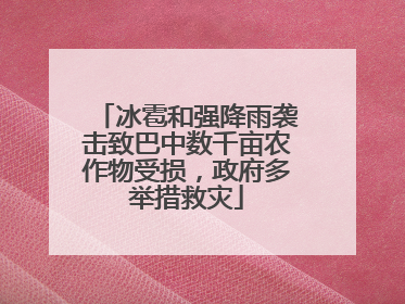 冰雹和强降雨袭击致巴中数千亩农作物受损，政府多举措救灾