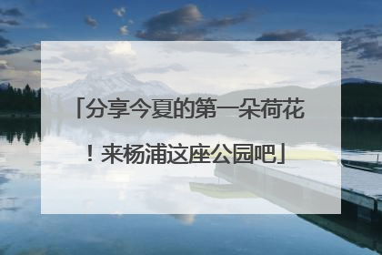 分享今夏的第一朵荷花！来杨浦这座公园吧