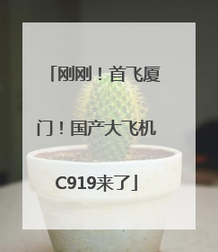 刚刚！首飞厦门！国产大飞机C919来了