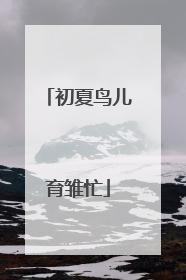 初夏鸟儿育雏忙